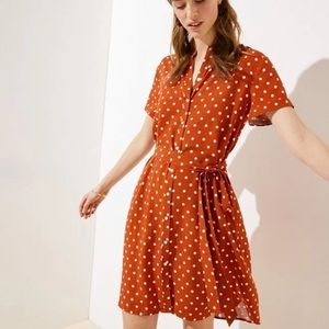 Loft polka dot shirt dress